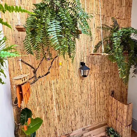 Samba Albergue