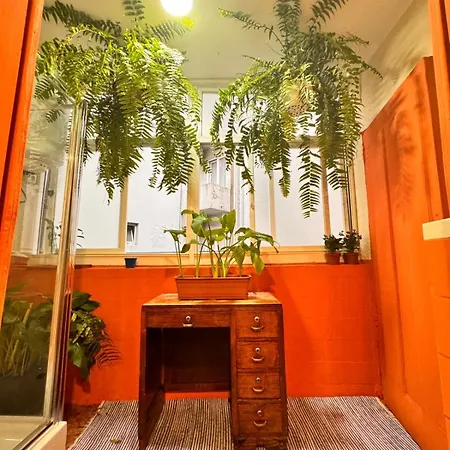 Samba Hostel *