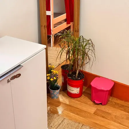 Samba Albergue *
